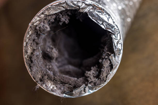 Best Affordable HVAC Duct Cleaning  in Hawaiian Gardens, CA