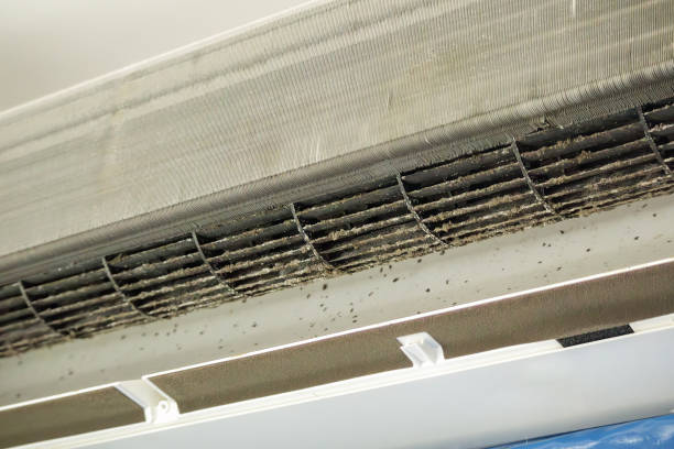 Best Air Duct Sanitizing Services  in Hawaiian Gardens, CA