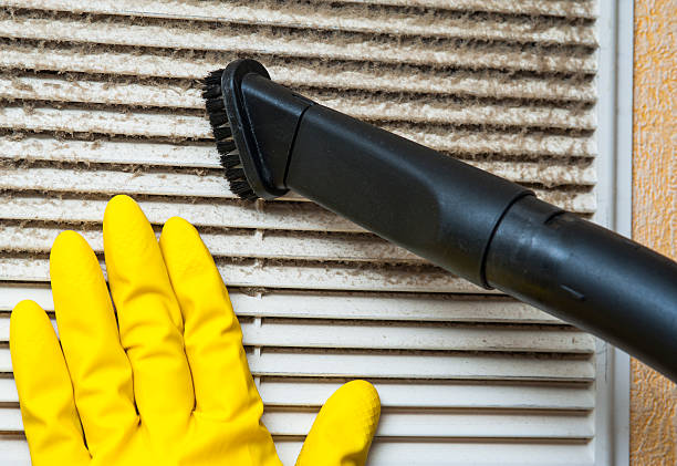 Best Professional Duct Cleaning Services  in Hawaiian Gardens, CA